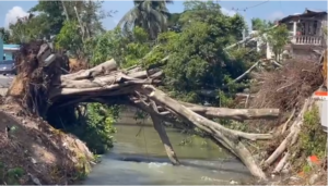 En Villa La Mata exigen atención de las autoridades tras daños al canal mayor