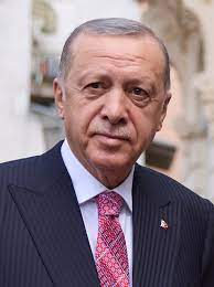 
Erdogan encabeza el escrutinio de las elecciones 
