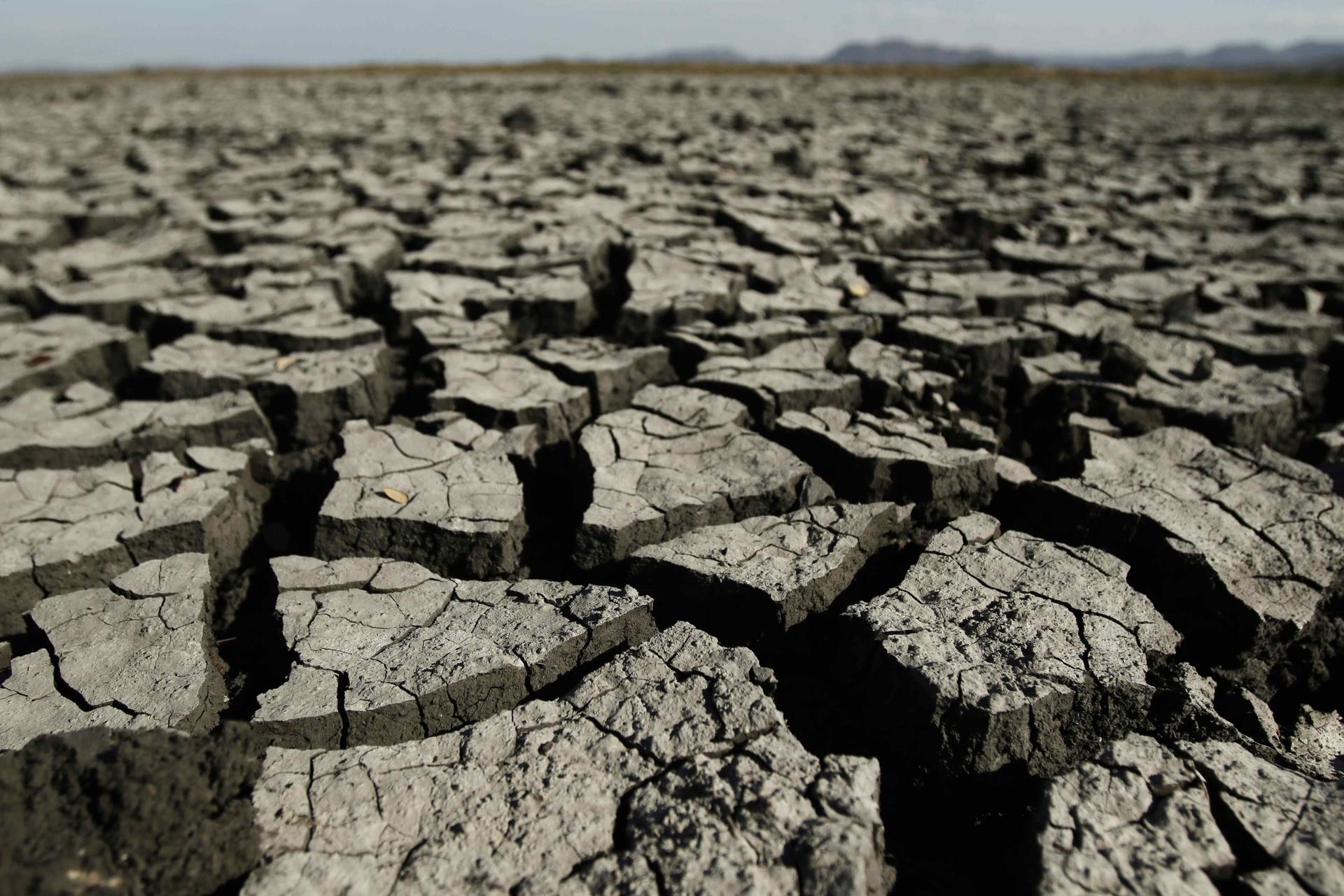 OMM prevé 2 años de "grave aumento" de temperaturas con la llegada de El Niño