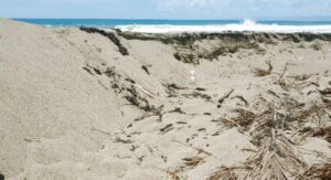 Denuncian playa El Juncal en riesgo por extracción de arena sin control