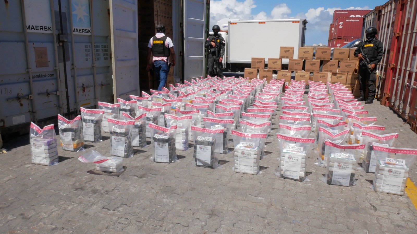 Incautan 728 paquetes presumiblemente cocaína en Puerto Multimodal Caucedo