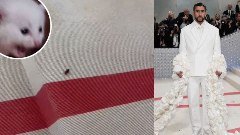 Una cucaracha desfila en la alfombra roja de la MET Gala