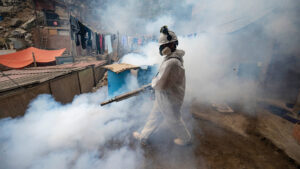 El dengue provoca inédita emergencia sanitaria en Perú
