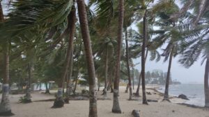 La tormenta tropical Cindy sigue los pasos de Bret hacia las Antillas Menores