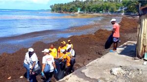 Celebran el Día Mundial de los Océanos con limpieza de playas en San Cristóbal