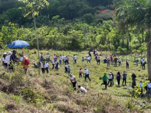 UASD participa en Jornada de Reforestación