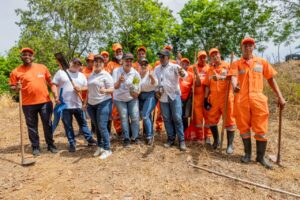 Obras Públicas se suma al Plan de Reforestación Nacional con más de 150 empleados