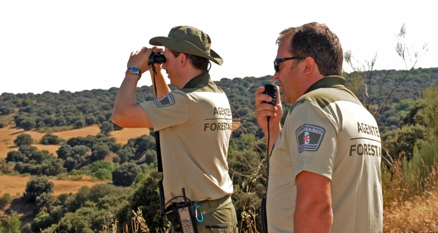 Día Mundial De Los Guardas Forestales 7694