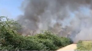 Incendio afecta importante zona de manglares en Montecristi