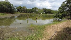 Medio Ambiente realiza supervisión en humedales de San Antonio de Guerra