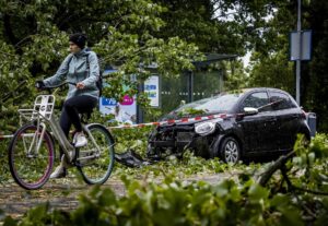 Muere una mujer al caer un árbol sobre su coche por la tormenta en Países Bajos