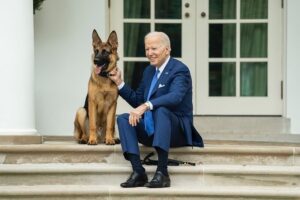 Uno de los perros de Biden, implicado en varios incidentes en la Casa Blanca