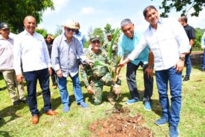 Ministerios de Agricultura y Defensa inauguran vivero para fortalecer producción de coco 