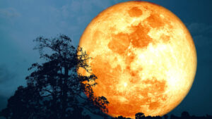 Luna de Ciervo 2023: primera superluna del año
