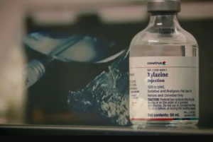 Xilacina y fentanilo: cómo las drogas "zombie" destruyen el cerebro