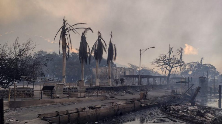 Biden declara emergencia en Hawái por "desastre" dejado por incendios forestales