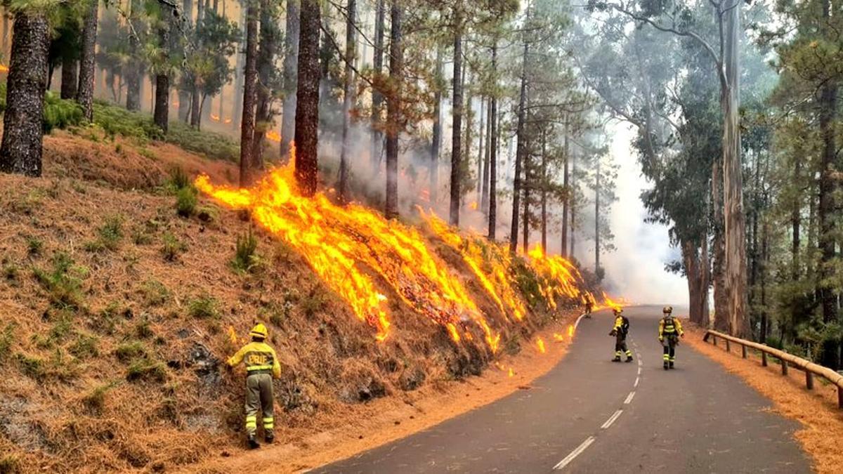 El fuego en la isla de Tenerife, el mayor del año en España, afecta ya a 13,383 hectáreas