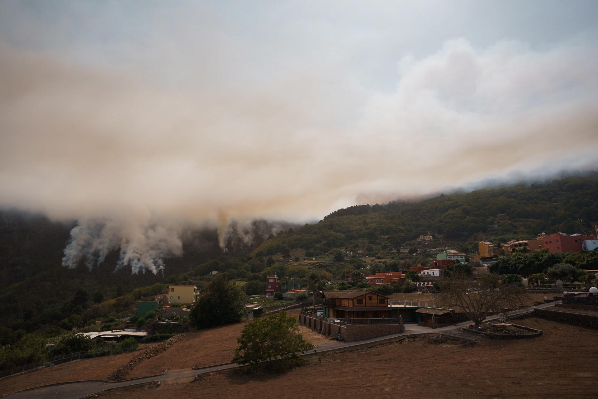Isla española de Tenerife vive su “peor incendio forestal en 40 años"