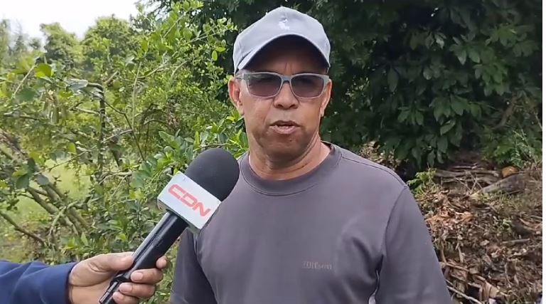 Tormenta Franklin afecta producción de cerezas en Hato Damas, San Cristóbal