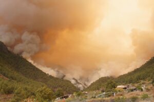 Un virulento incendio en la isla canaria de Tenerife consume ya 2,600 hectáreas