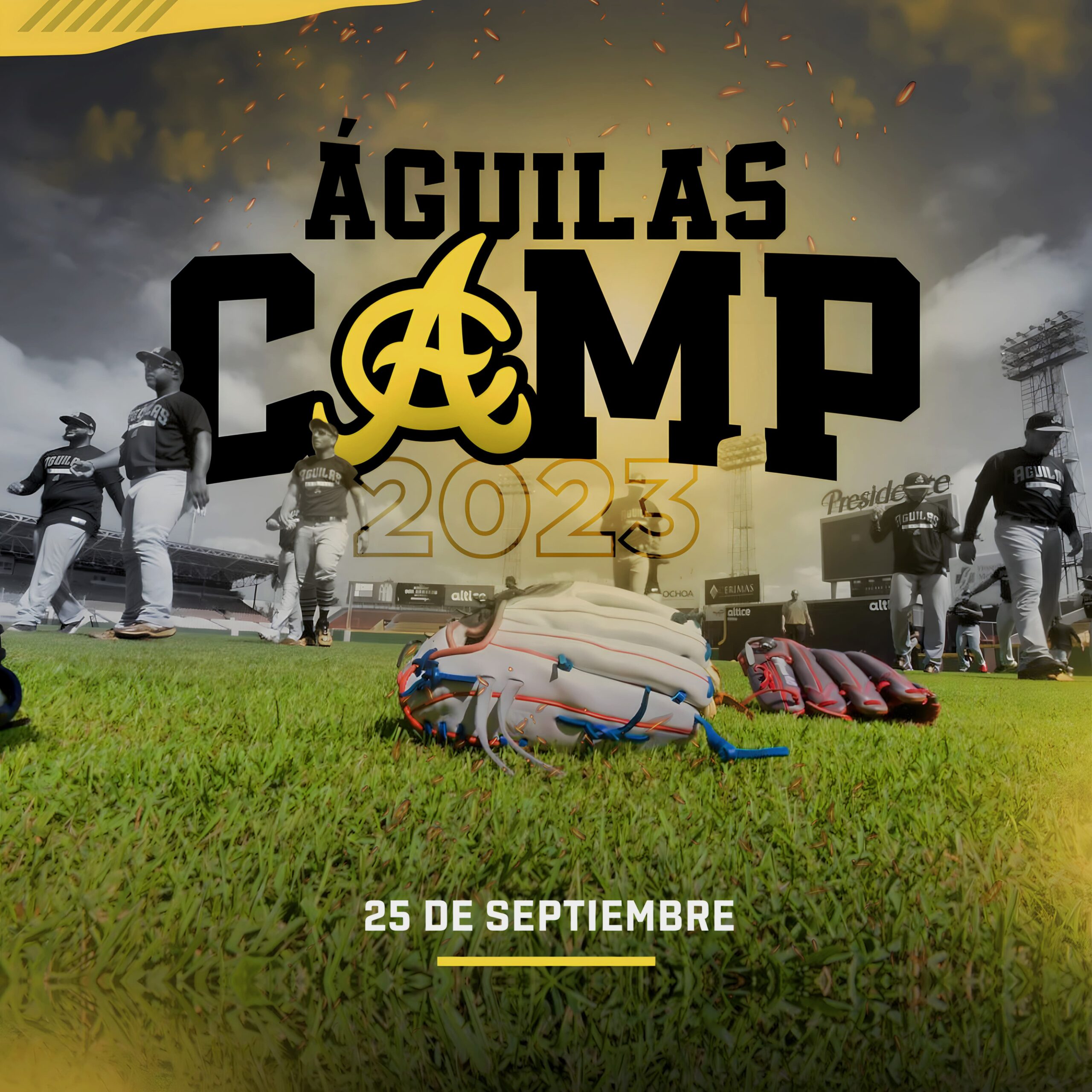 Águilas Cibaeñas anuncian inicio de sus entrenamientos para el 25 de septiembre