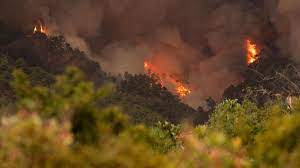 Fuego de Tenerife “está fuera de capacidad de extinción”