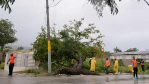 Tormenta Franklin derriba árboles y desborda ríos en Azua