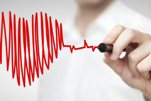 Al adoptar un estilo de vida equilibrado, se fortalece la salud cardiovascular 
