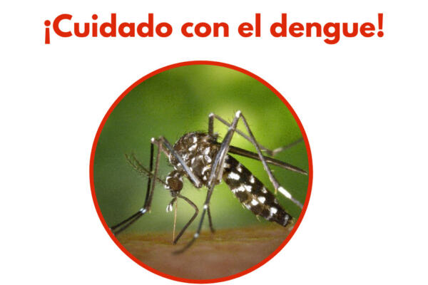 El virus del dengue puede ser mortal si presenta hemorragias