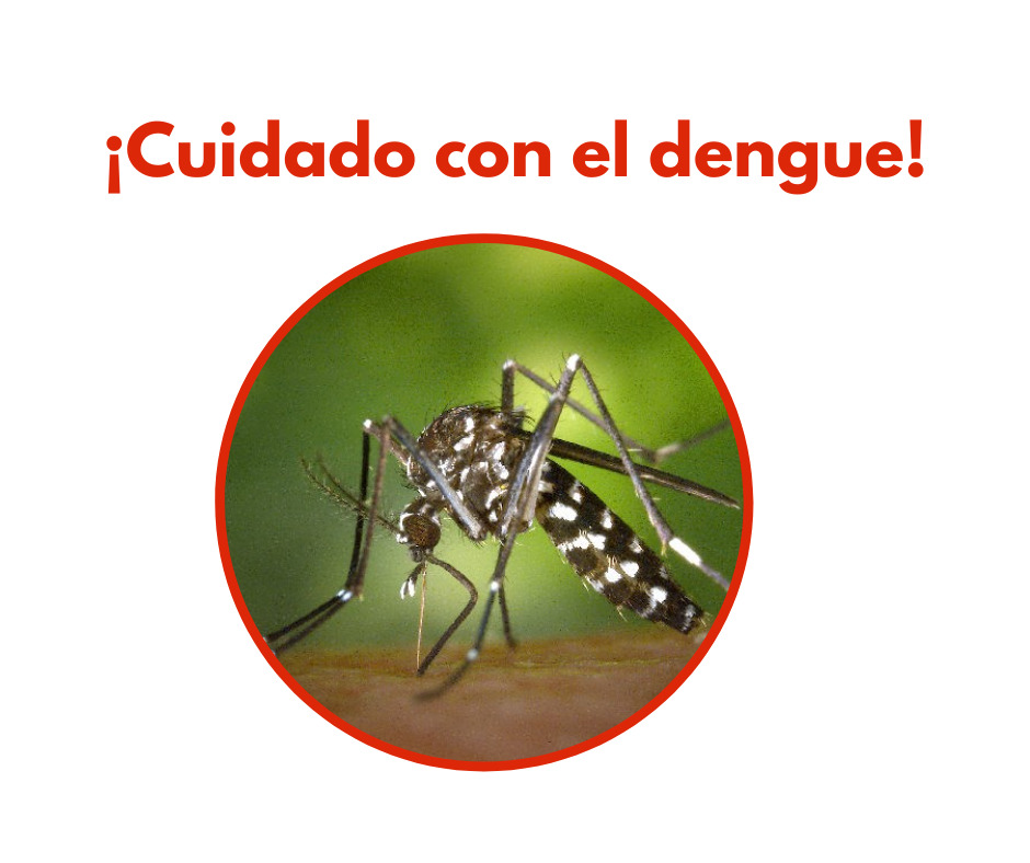 El virus del dengue tiene varias tipologia