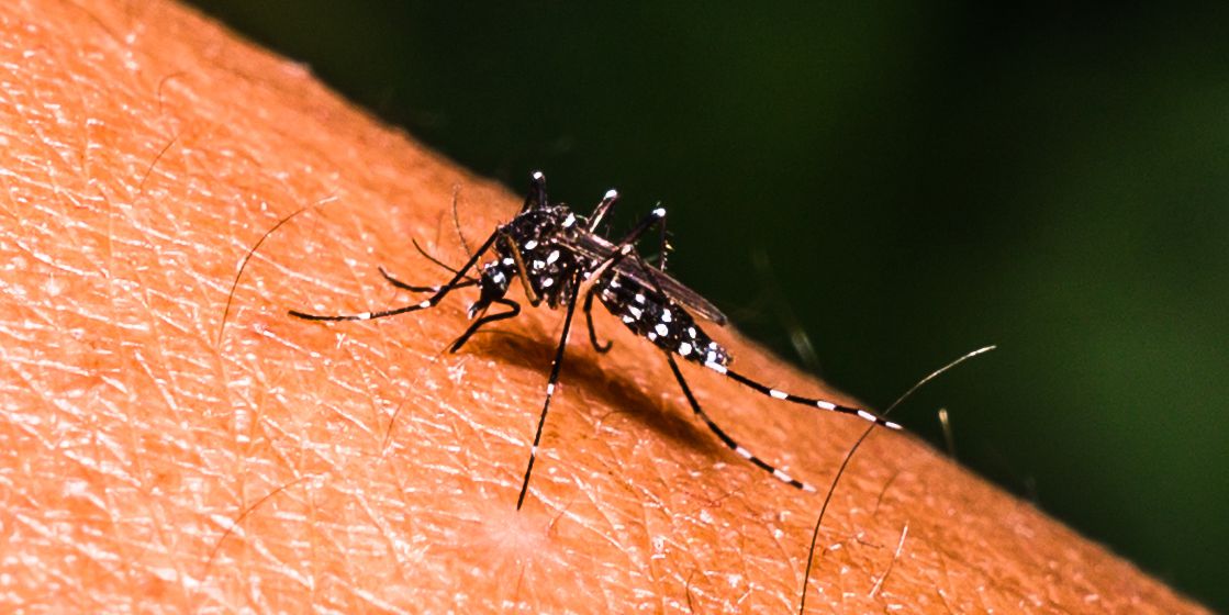 Aumenta propagación y muertes por dengue, se reportan 8,261 casos, 42% más que en 2022