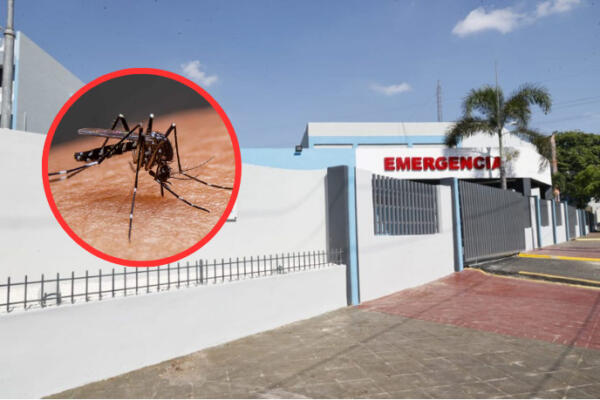 Continúan llegando casos sospechosos de dengue a los principales hospitales infantiles del país
