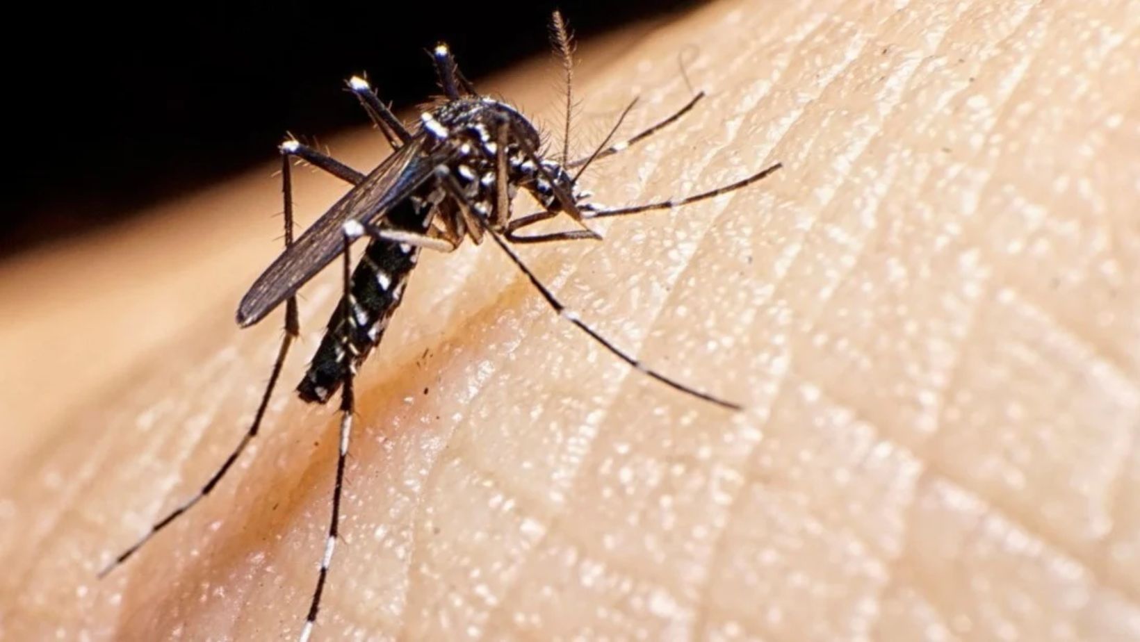En La Senda, claman a las autoridades intervengan el sector ante casos de dengue