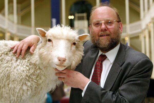 Muere Ian Wilmut, 'padre' de la oveja Dolly, que se negó a clonar humanos