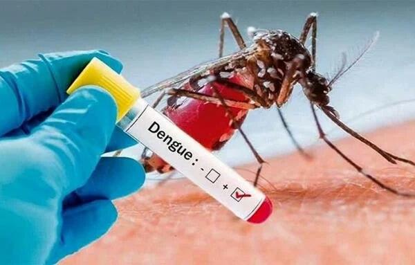 Sigue preocupando el aumento de los casos de dengue en el país; reportan más de 700 afectados