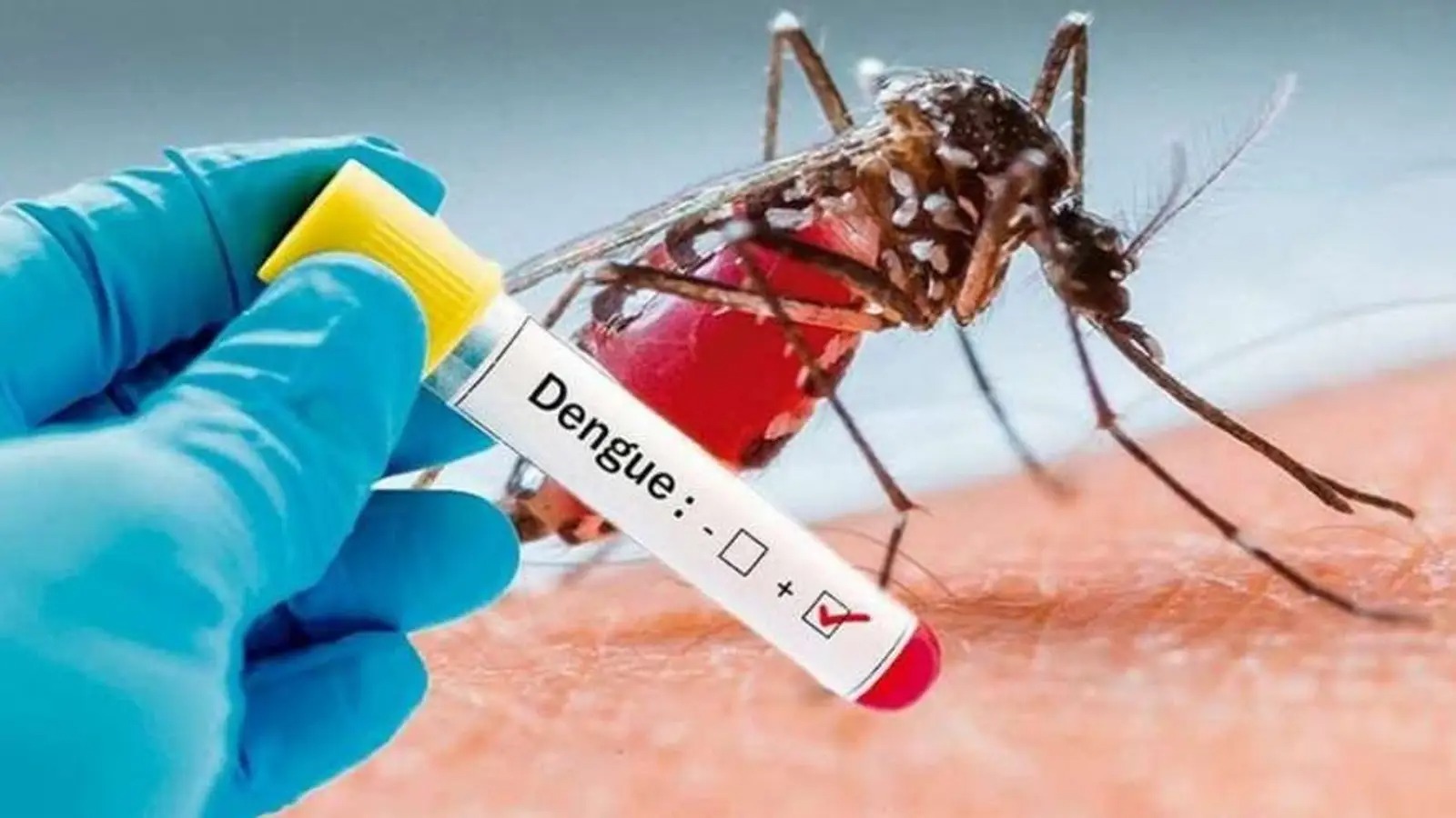 Ministerio de Salud dice se registra ligera baja en casos de Dengue