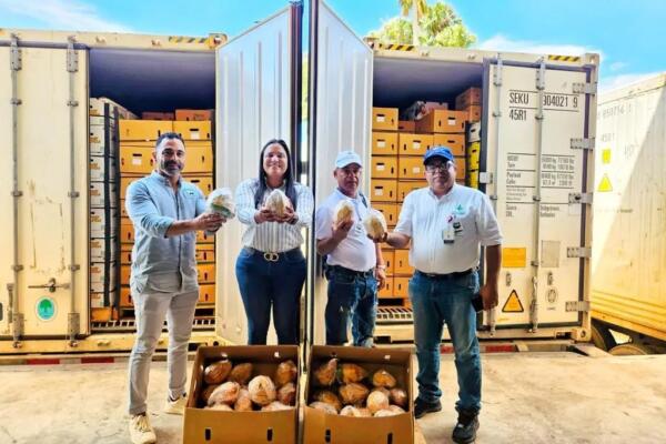 Estados Unidos recibe primeros dos contenedores de coco de agua desde RD