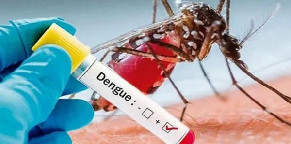 ASONAEN considera que botes de dengue en el país es por falta de planificación