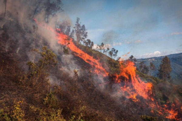 Bomberos de España capacitan a dominicanos ante incendios forestales 
