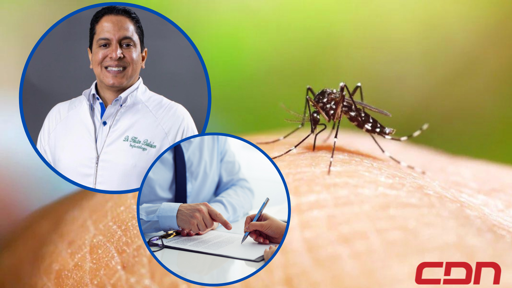 La epidemia del dengue: Recomendaciones que debes conocer
