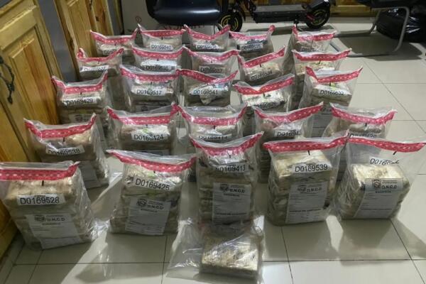 Frustran en Puerto Caucedo envío de 149 paquetes presumiblemente cocaína a Panamá