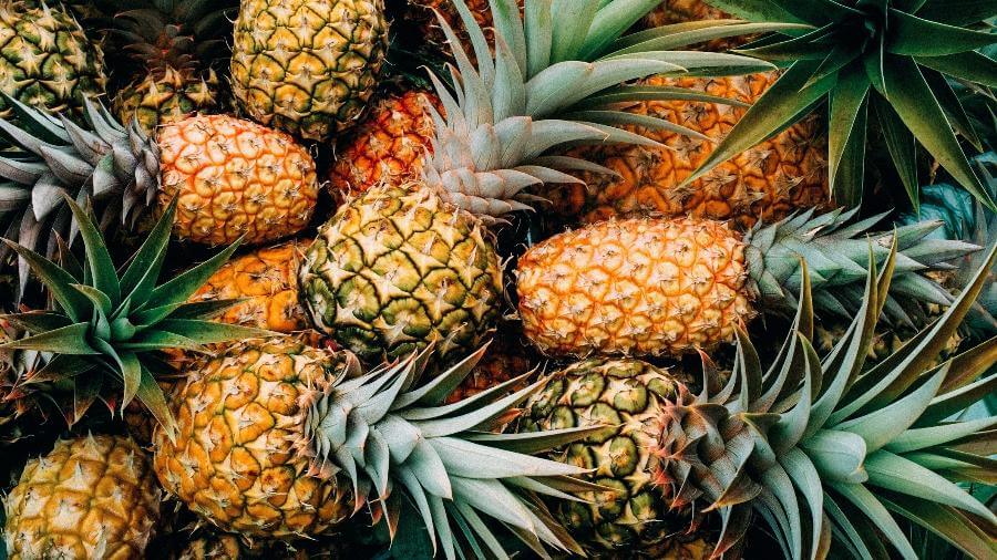 Contenedor de piña sin validación de sanidad vegetal pone en riesgo la ...