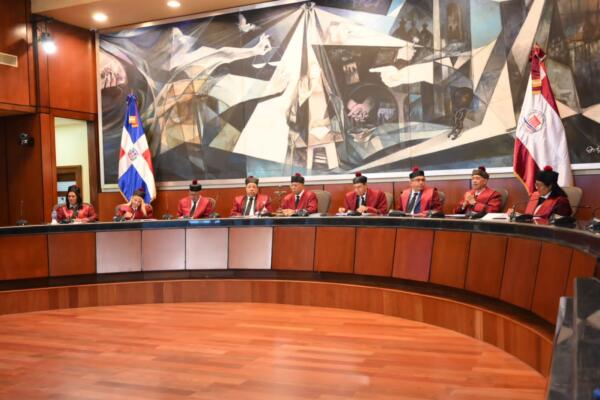 Tribunal Constitucional deja en estado de fallo 10 expedientes. Foto: Fuente externa