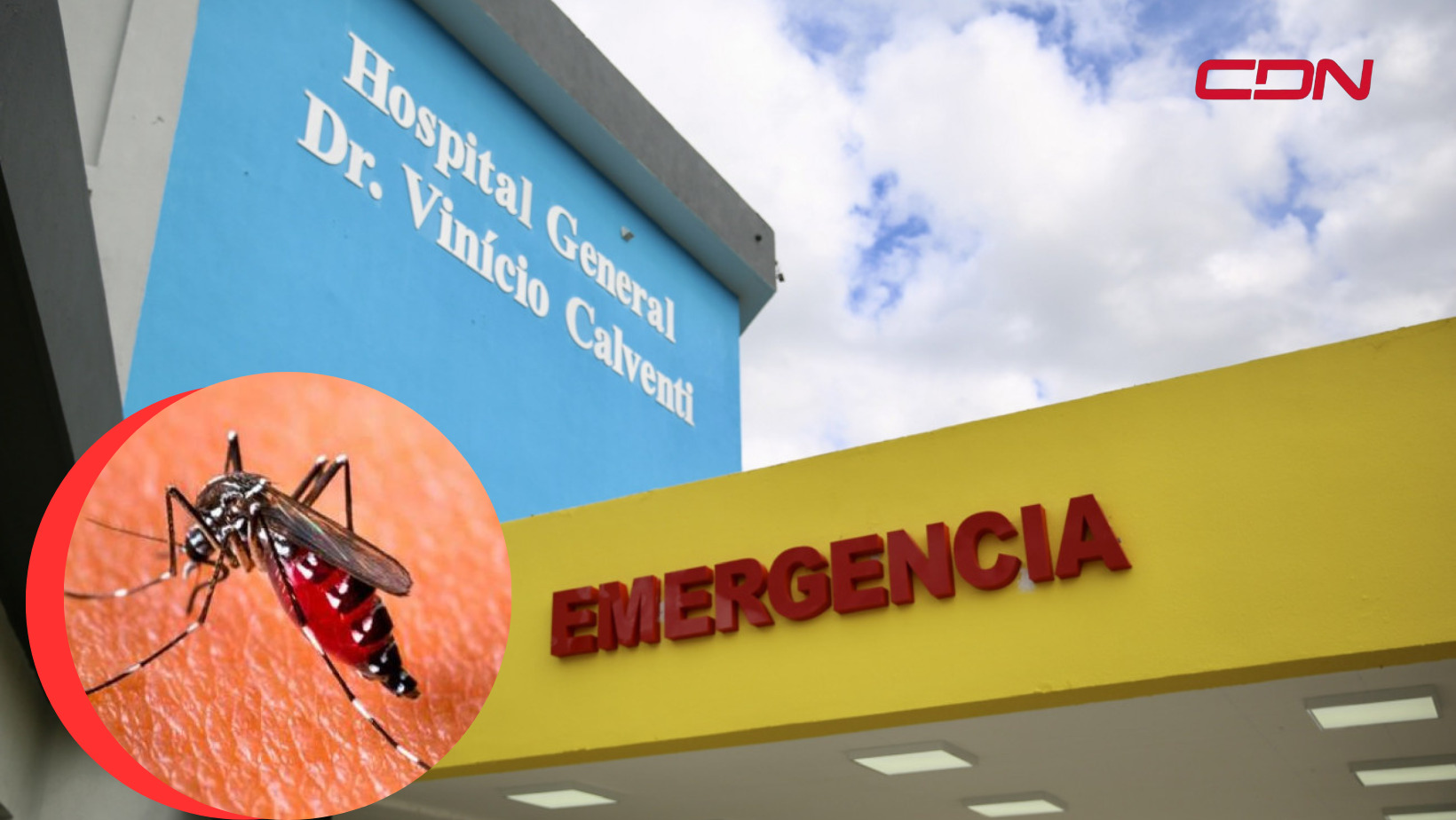 Continúan llegando casos de dengue al hospital Vinicio Calventi; 12 pacientes se encuentran ingresados