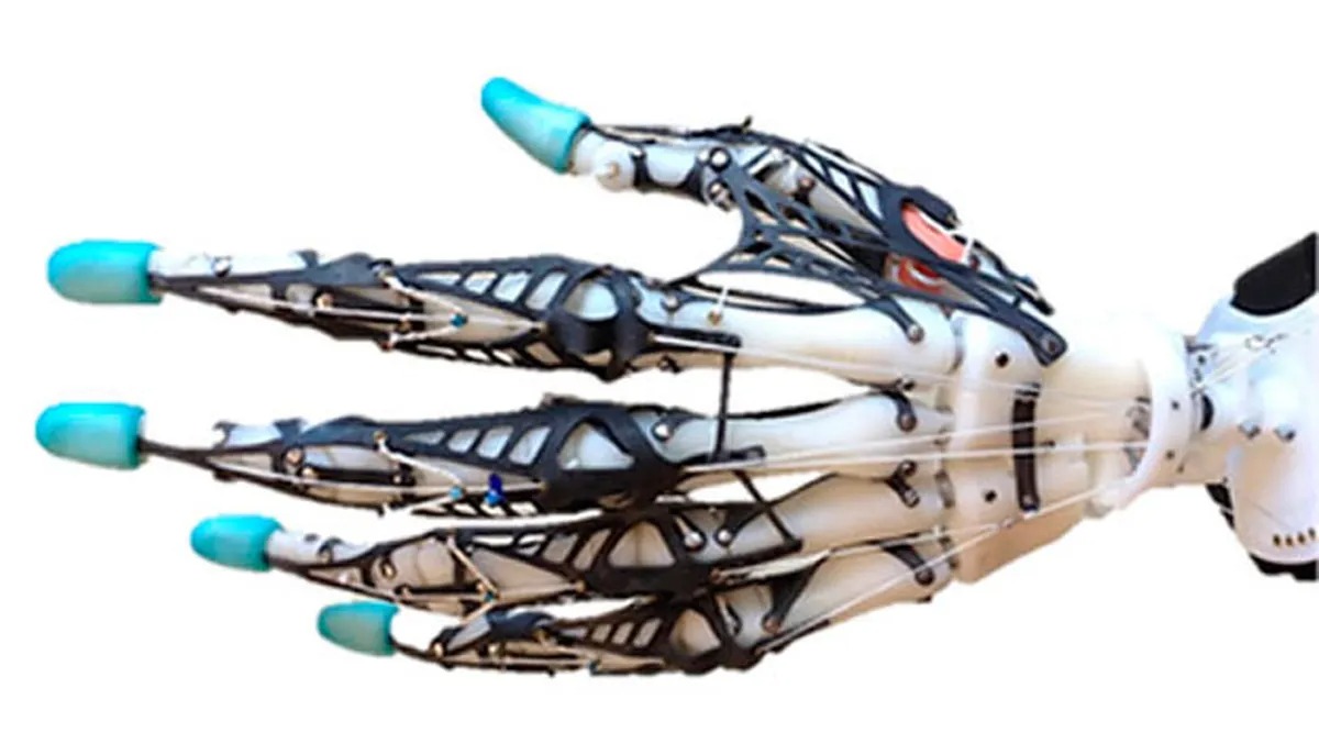 Mano robótica blanda con huesos, ligamentos y tendones mediante impresión 3D. Foto: fuente externa.