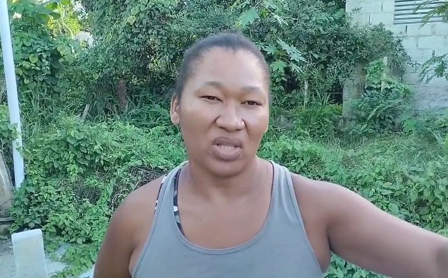 Madre Soltera de Guayabo Dulce Pide Ayuda para reconstruir su hogar