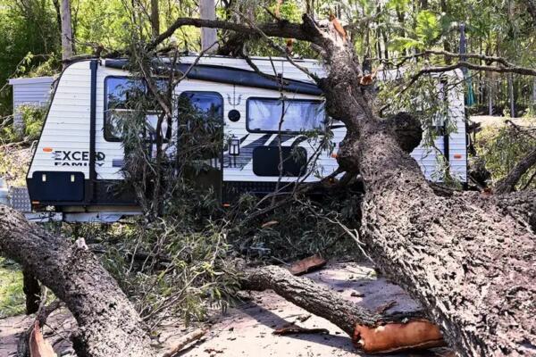 Un árbol caído yace sobre una caravana de un camping cerca de Gold Coast, Australia. Foto: fuente externa.
