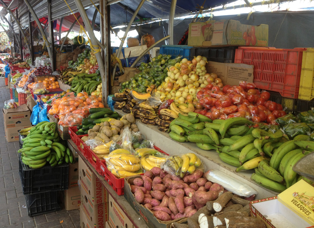 Precios de alimentos se mantienen fluctuantes en plazas agropecuarias