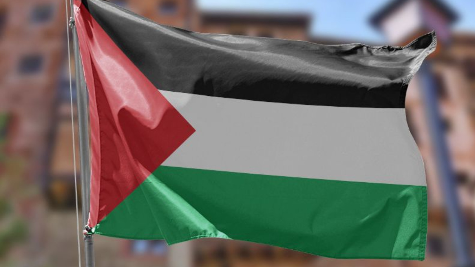 Bandera Palestina FOTO: Fuente externa
