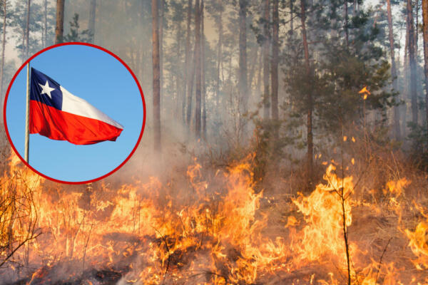 En Chile incendio forestal deja al menos 7 heridos 